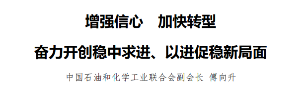 傅向升：2023年石化行业成绩来之不易2024年“以进促稳”(图1)