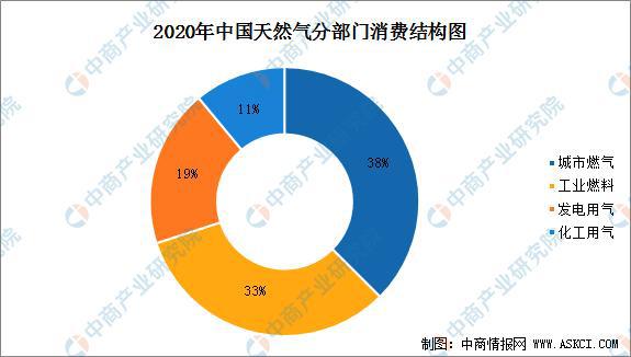 2021年中国天然气行业市场前景及投资研究报告(图8)