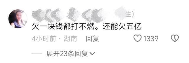 燃气欠费近5亿燃气公司称系统出错已调整网友：可以修改？(图5)